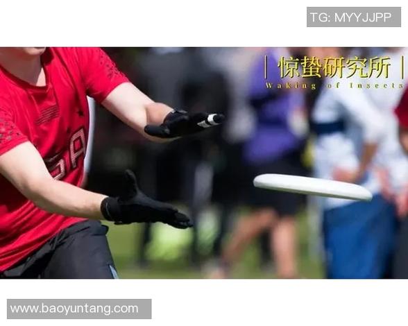 足球明星背后的秘密财务黑幕与偷漏税的真相揭秘 足球明星背后的秘密财经黑幕与偷漏税的真相揭秘